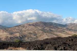 IMG_0657